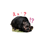 846457409