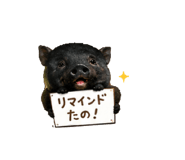 846457412