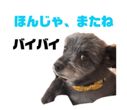846457645
