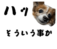 846457696