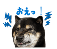 846457760
