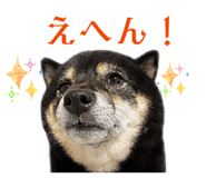 846457761