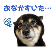 846457767