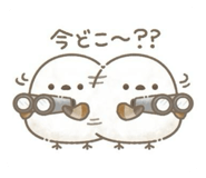 846458104