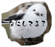 846458518