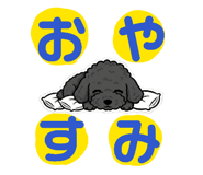 846458523