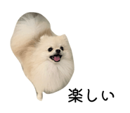 846458627