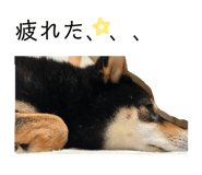 846458758