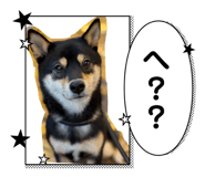846458760