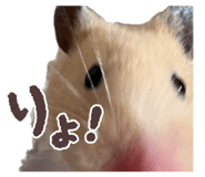 846458822