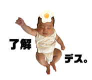 846470262