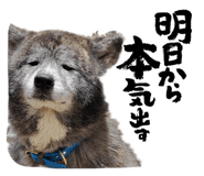 846470970