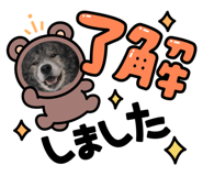 846470972