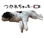 846471243