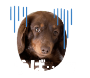 846471897