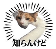 846486355