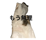 846486360