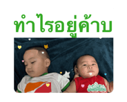 846486393