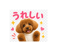 846486708