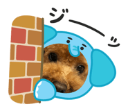 846486816