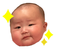 846487516