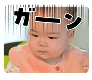 846496176