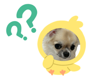 846497558