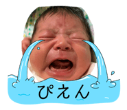 846498003