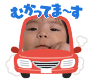 846498018