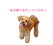 846498526