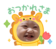846499555