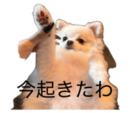 846499564