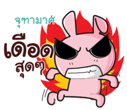 846515416