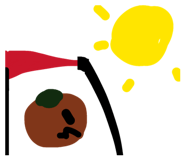 846524202