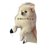846524379