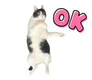 846524474