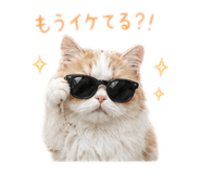 846524512