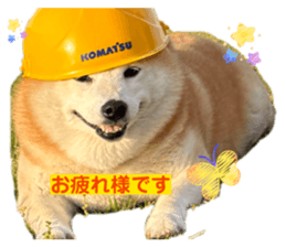 846525441