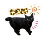 846525473
