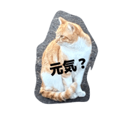 846525635