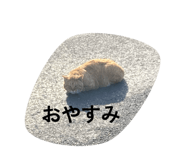 846525637