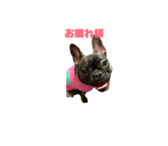 846525668