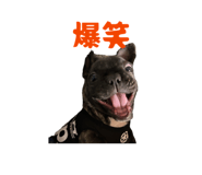 846525670