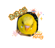 846525721