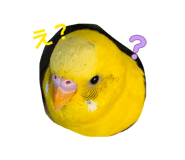 846525724