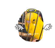 846525725