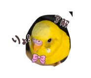 846525730