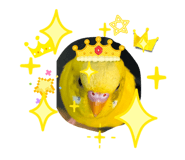 846525731