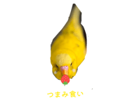 846525736