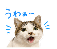 846525740